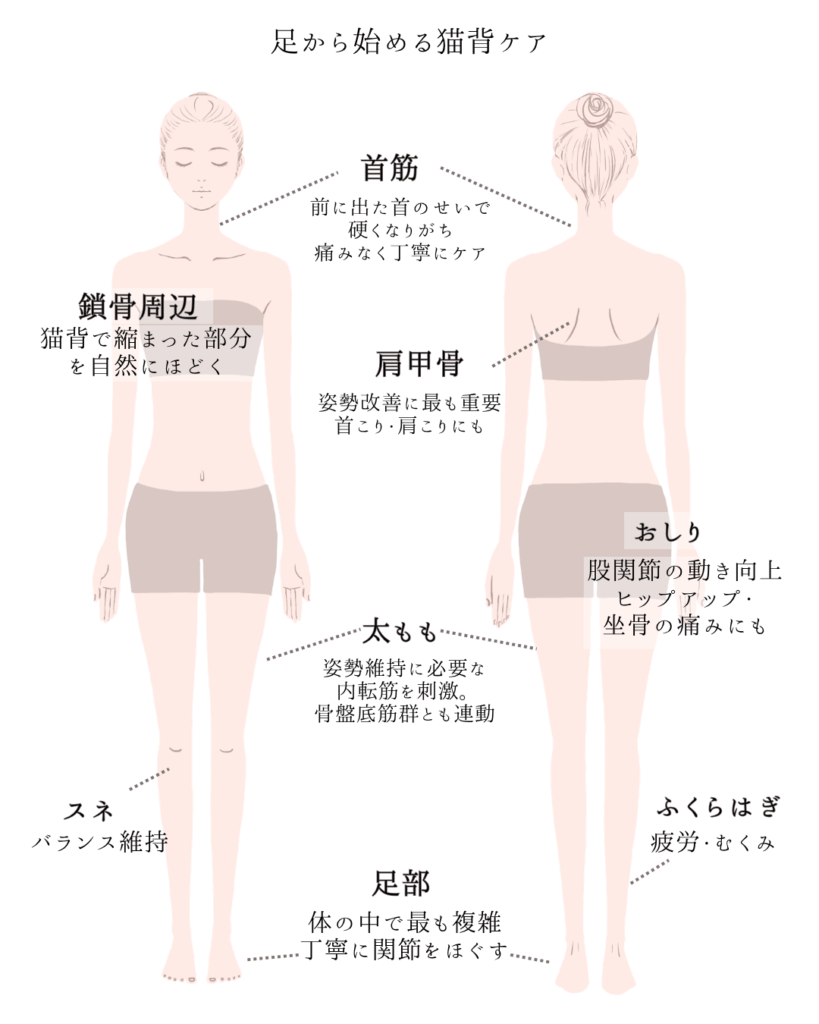 外反母趾,痛い,矯正,治す,整体,熊本,巻き爪,大きいサイズの靴,ダ・ヴィンチのあし,うおのめ,たこ,魚の目,皮膚科,レディース,大きいサイズ,25,25.5,こむらがえり,足がつる,フロムペディ,ベネシュ,シンシア,ラヴィー,ナラココ,巻き爪補正,名医,治療,ウオノメ,ル プレジール,かかと,手術,原因,治し方,生まれつき,猫背,ストレートネック,リンパマッサージ,やり方,効果