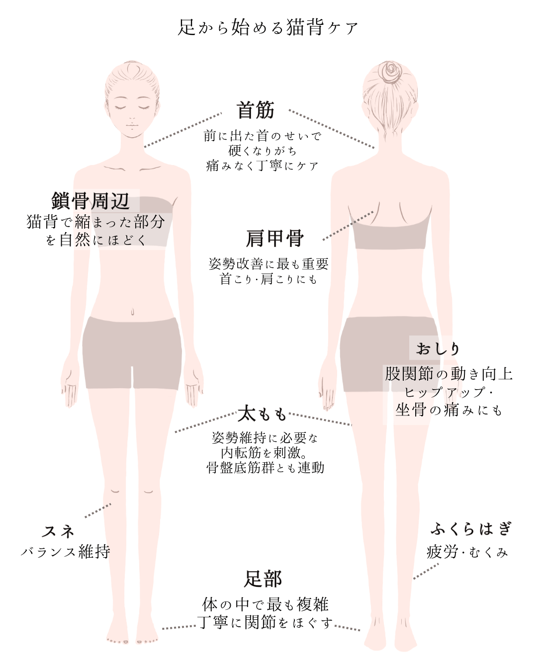 外反母趾,痛い,矯正,治す,整体,熊本,巻き爪,大きいサイズの靴,ダ・ヴィンチのあし,うおのめ,たこ,魚の目,皮膚科,レディース,大きいサイズ,25,25.5,こむらがえり,足がつる,フロムペディ,ベネシュ,シンシア,ラヴィー,ナラココ,巻き爪補正,名医,治療,ウオノメ,ル プレジール,かかと,手術,原因,治し方,生まれつき,猫背,ストレートネック,リンパマッサージ,やり方,効果
