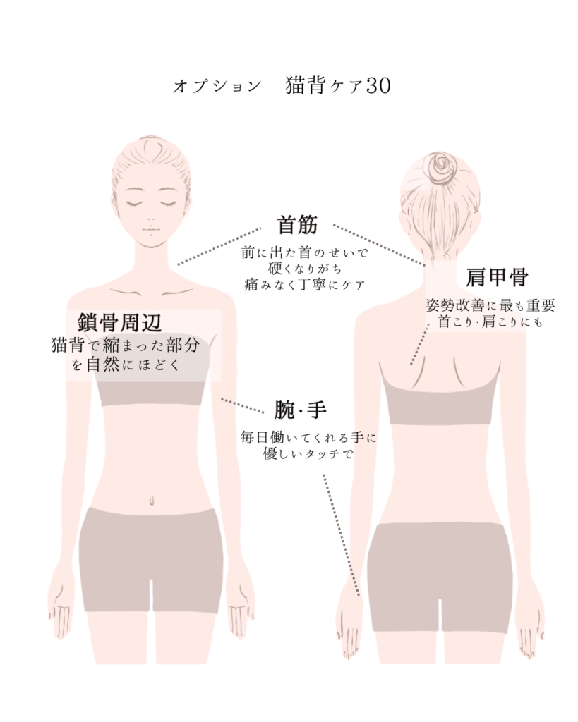 外反母趾,痛い,矯正,治す,整体,熊本,巻き爪,大きいサイズの靴,ダ・ヴィンチのあし,うおのめ,たこ,魚の目,皮膚科,レディース,大きいサイズ,25,25.5,こむらがえり,足がつる,フロムペディ,ベネシュ,シンシア,ラヴィー,ナラココ,巻き爪補正,名医,治療,ウオノメ,ル プレジール,かかと,手術,原因,治し方,生まれつき,猫背,ストレートネック,リンパマッサージ,やり方,効果,ドライヘッドスパ